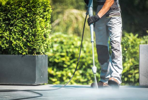 Animal Enclosure Cleaning in Damascus, OR