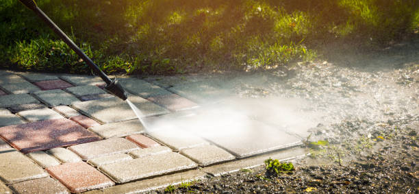 Best Animal Enclosure Cleaning  in Damascus, OR